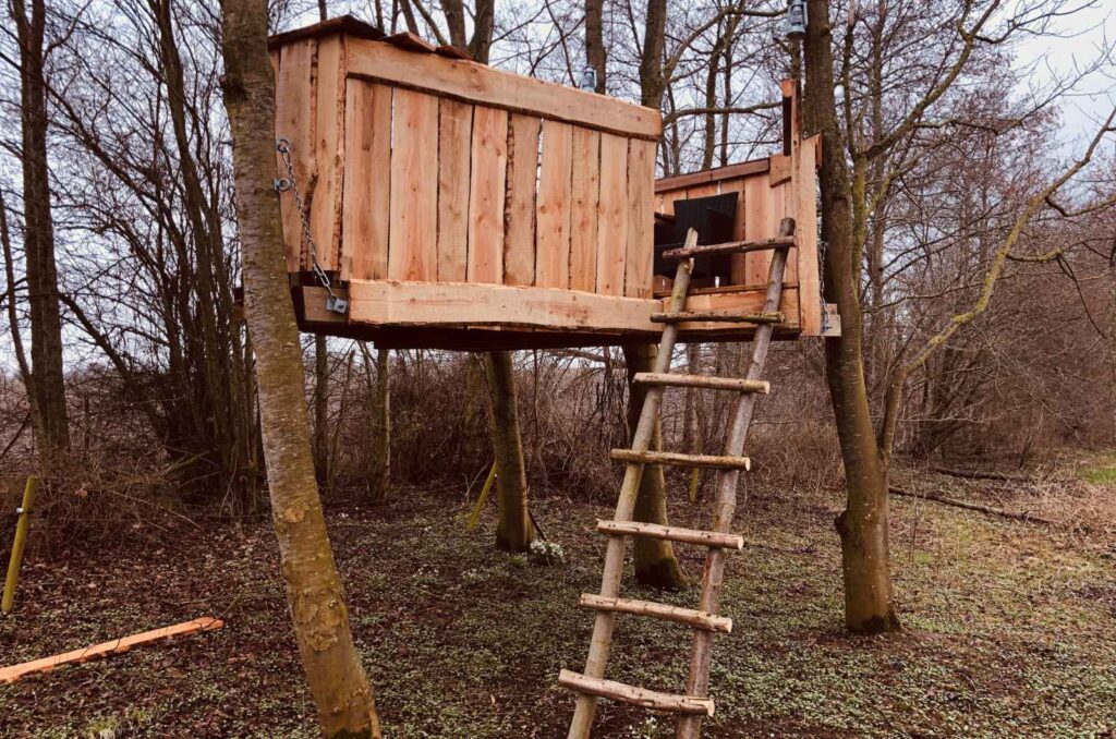 בית עץ לילדים