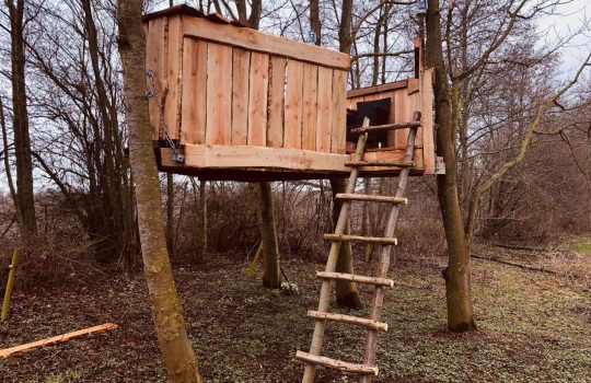 בית עץ לילדים2