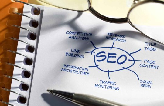Organic SEO2